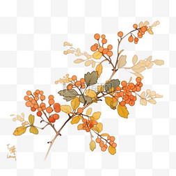 山楂树背景图片_山楂树手绘秋天元素
