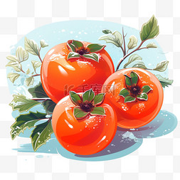 白露节气植物图片_柿子香甜植物蔬菜水果白露秋季深