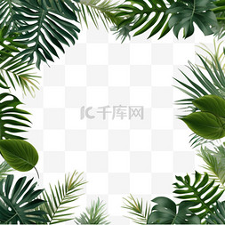 植物边框插图图片_棕榈叶绿色植物边框