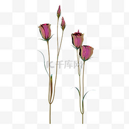 玫瑰炫彩图片_炫彩玫瑰金属风花卉植物