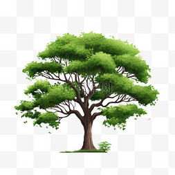 木质矢量图片_矢量免抠绿色大树3