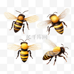 两碗蜂蜜图片_一套可爱的蜜蜂3