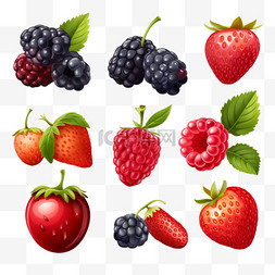 水果树莓图片_浆果水果写实免抠3