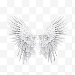 白色的天使翅膀图片_一包白色的翅膀4