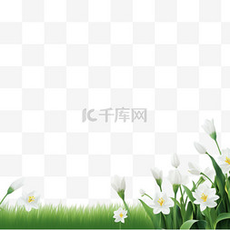 春天花卉白色小花装饰边框1
