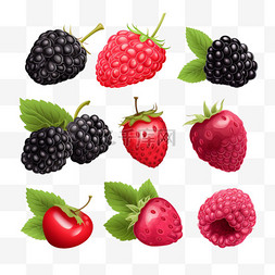 树莓素材图片_浆果水果写实免抠3