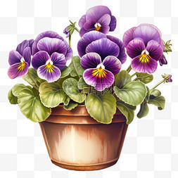 手绘水彩插画花朵图片_水彩插画紫色美丽鲜花盆栽免扣元