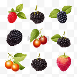 树莓素材图片_浆果水果写实免抠2