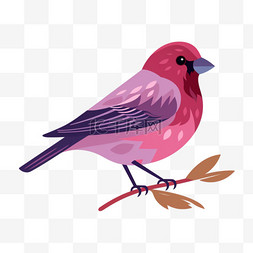 插画红紫色小鸟免扣元素