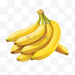 热带背景图片_白色背景上分离的成熟黄色香蕉串