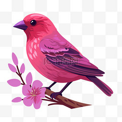 插画美丽红紫色小鸟免扣元素