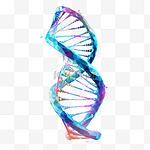 生物立体基因DNA密码分子免扣装饰素材