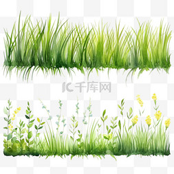 一组用水彩画绘制的草地边框