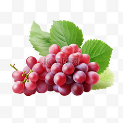 葡萄干粥图片_葡萄与红玫瑰和白葡萄分离的逼真