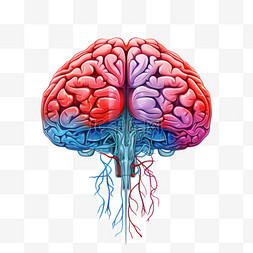 脑部图片_人脑中风的科学医学图解