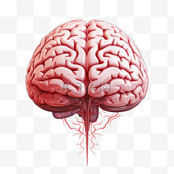 人脑图片_人脑中风的科学医学图解