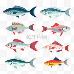 海洋的鱼图片_白色背景上的一组矢量鱼图标，为