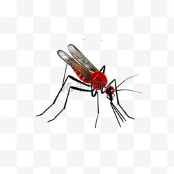 预防登革热海报图片_蚊子停止标志