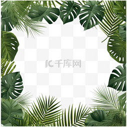 框架构图图片_热带树叶棕榈树枝逼真的框架结构
