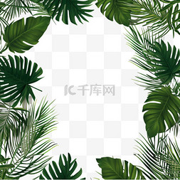 白绿色树叶图片_棕榈叶实物模型插图