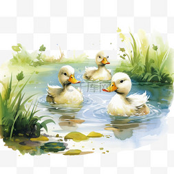 鸭子夏天白色水边免扣元素装饰素