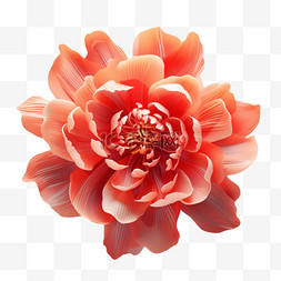 国庆节牡丹花装饰花朵节日美丽3D