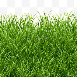 绿色草地纹理图片_无缝绿色草地图案
