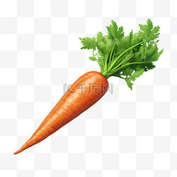胡萝卜和大棒图片_胡萝卜立体蔬菜免扣元素装饰素材