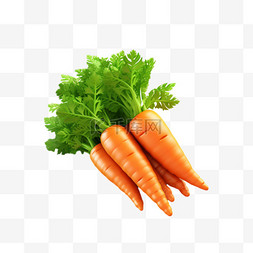 胡萝卜食物蔬菜免扣元素装饰素材
