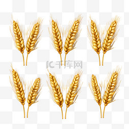 麦穗形状图片_小麦麦穗丰收金色麦子3