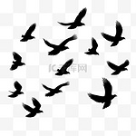 一群飞翔的鸟儿。飞鸟剪影、孤立的黑鸽或海鸥收藏1