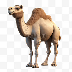 骆驼简单动物免扣元素装饰素材