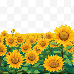 向日葵向阳花朵免扣元素装饰素材