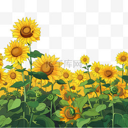 几何艺术图案图片_向日葵清新花朵免扣元素装饰素材