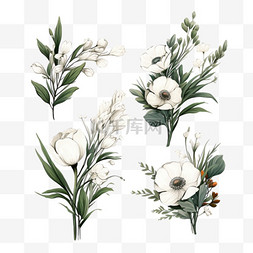 白色的水彩花图片_一套五个手绘的白色花束