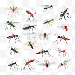 卡通的虫子和动物图片_危险的蚊子。虫子和警告飞行动物