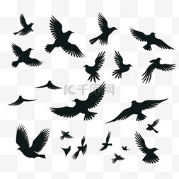 海鸥飞翔png图片_一群飞翔的鸟儿。飞鸟剪影、孤立