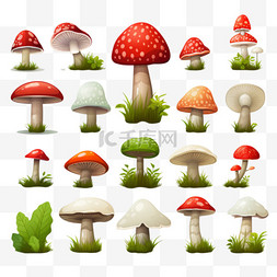 集材图片_森林蘑菇图标集