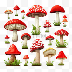 森林蘑菇图标集
