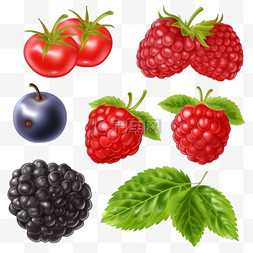 多个产品展示图片_逼真的浆果，一串串成熟的浆果和