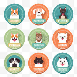 宠物标签图片_平面设计兽医中心标签模板