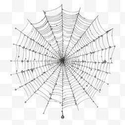 展示布景图片_一套蜘蛛网
