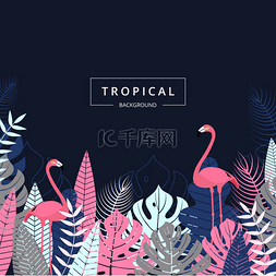 网站横幅设计图片_热带背景与火烈鸟鸟。热带树叶和