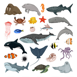 111.收集海洋生物。生活在海洋中