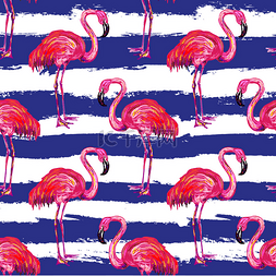 加勒比元素图片_异国情调的粉红色火烈鸟鸟 