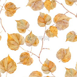 秋叶无缝花纹