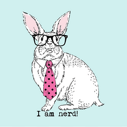 时髦眼镜和领带的书呆子兔子