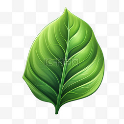 植物叶子写实图片_叶子绿叶植物免扣元素装饰素材