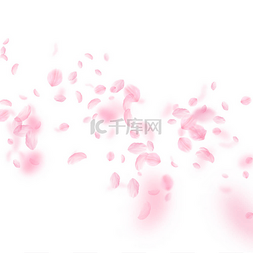 粉粉的爱情背景图片_樱花花瓣飘落。浪漫的粉色花朵 