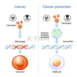 生菌细胞图片_癌症预防。有DNA损伤的健康细胞和
